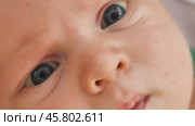 Close-up of a newborn baby with wide-open, focused eyes, serene expression, vulnerable but calm features. Large blue eyes of the infant. Стоковое видео, видеограф Воловодов Владимир / Фотобанк Лори