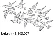 Flock of birds flying, hand drawn illustration of common terns in motion. Стоковое AI-изображение, AI-художник Юрий Поздников / Фотобанк Лори