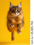Portrait of a jumping Somali cat on a yellow background. Стоковое AI-изображение, AI-художник ArtVladZ / Фотобанк Лори