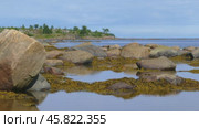 Northern White Sea in Karelia, Russia. Стоковое видео, видеограф Михаил Коханчиков / Фотобанк Лори