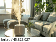 Air humidifier in a modern living room. Shallow depth of field. Стоковое AI-изображение, AI-художник Михаил Строгалев / Фотобанк Лори