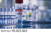 Specific Laboratory Sample of the Marburg Virus used in a Research Setting for Studies. Vial labeled Marburg Virus. Biosafety in infectious disease research. Glass ampoule on a Blue Background of Lab. Стоковое AI-видео, аниматор Марина Демидюк / Фотобанк Лори