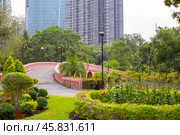 Chatuchak Park in Bangkok. Tropical plants and flowers and a beautiful bridge over the lake (2024 год). Стоковое фото, фотограф Коханова Наталья / Фотобанк Лори