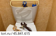 Plumber fixing toilet cistern mechanism. Стоковое AI-видео, аниматор Юрий Поздников / Фотобанк Лори