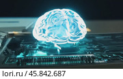 Computer monitor shows a brain. Стоковое AI-видео, аниматор Sergey Grishin / Фотобанк Лори