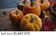 Table with a bunch of pumpkins and leaves. Стоковое AI-видео, аниматор Sergey Grishin / Фотобанк Лори