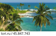 Sea waves on tropical beach and palms (2023 год). Стоковое видео, видеограф Михаил Коханчиков / Фотобанк Лори