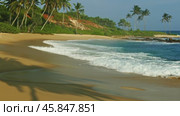 Sea waves and shadow of palm on beach (2023 год). Стоковое видео, видеограф Михаил Коханчиков / Фотобанк Лори