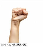 Woman hand making fist on white background, feminism and girl power concept. Стоковое AI-изображение, AI-художник Иван Рябоконь / Фотобанк Лори