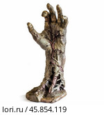 Reaching decomposing zombie hand emerging from ground. Стоковое AI-изображение, AI-художник Иван Рябоконь / Фотобанк Лори