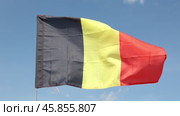 Big flag of Belgium fastened on stick against background of blue sky under daylight. Стоковое видео, видеограф Яков Филимонов / Фотобанк Лори
