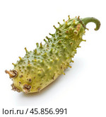 Kiwano fruit resting on seamless white background. Стоковое AI-изображение, AI-художник Иван Рябоконь / Фотобанк Лори