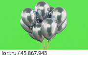 Metallic Balloons flying on green screen. Silver balls move across a green background. Chroma key. Festive decoration. Valentine's Day, Birthday. Party shiny balloons bunch swaying on chromakey. Стоковое AI-видео, аниматор Марина Демидюк / Фотобанк Лори