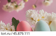 Pastel colored easter eggs and white flowers on pink background. Стоковое AI-видео, аниматор Юрий Поздников / Фотобанк Лори