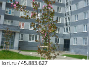 Двор и новостройки многоэтажных домов в городе Екатеринбурге по улице Дорожной 14. Жилищный комплекс "Весна" Courtyard and new buildings of multi-storey buildings in Yekaterinburg on Dorozhnaya street 14.Vesna Housing Complex (2022 год). Стоковое фото, фотограф Юрий Карачев / Фотобанк Лори