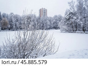 Зимний пейзаж в парке во время снегопада. Стоковое фото, фотограф Андрей Иванов / Фотобанк Лори