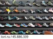 On black wooden wall of showcase - there are samples of models of hiking and climbing shoes (2023 год). Редакционное фото, фотограф Яков Филимонов / Фотобанк Лори