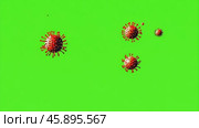 Red animated influenza virus on a green screen. Coronavirus on green background. Digital corona viruses on a chroma key backdrop. 3D animation. Flu, Sars, Mers, H1N1, Covid-19. Global viral infection. Стоковое AI-видео, аниматор Марина Демидюк / Фотобанк Лори