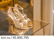 An elegant high-end shop window with golden shoes and evening lighting. The concept of shopping and sales. Стоковое фото, фотограф Photojuli / Фотобанк Лори