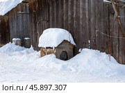 Собачья будка зимой. Редакционное фото, фотограф Ирина Яровая / Фотобанк Лори