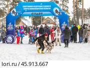 Чемпионат и первенство по снежным дисциплинам ездового спорта сибирского региона "Рождественский заезд". Территория физкультурно-оздоровительного комплекса "Метелица", город Бердск, Новосибирская область, Западная Сибирь России. Стартовая площадка для собак. Редакционное фото, фотограф Евгений Мухортов / Фотобанк Лори