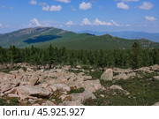Natural landscape of mountain range with rocks at summer day. Green coniferous forest and large stones. Стоковое фото, фотограф Екатерина Якименко / Фотобанк Лори