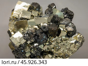Druse of cubic crystals. The mineral pyrite or iron pyrite. Стоковое фото, фотограф EugeneSergeev / Фотобанк Лори