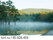 A picturesque lake surrounded by mountains with a grove of swamp cypresses in the water in the early morning. Milky fog covers the water surface of the lake. Trees are reflected in the water. Стоковое фото, фотограф Роман Дзюбало / Фотобанк Лори