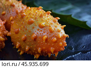 Kiwano melon resting on black slate with leaves in background. Стоковое AI-изображение, AI-художник Иван Рябоконь / Фотобанк Лори