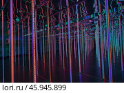 Зеркальный лабиринт. Стоковое фото, фотограф YuryKara / Фотобанк Лори