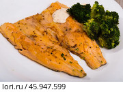 Grilled trout with broccoli. Стоковое фото, фотограф Яков Филимонов / Фотобанк Лори