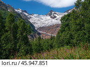 View of the Alibek glacier in the mountains of the North Caucasus on the territory of the Teberdinsky Nature Reserve on a sunny summer day, Dombay, Karachay-Cherkessia, Russia. Стоковое фото, фотограф Ula Ulachka / Фотобанк Лори