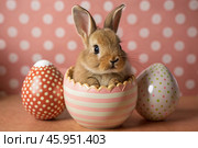 A holiday banner. A cute Easter bunny is peeking out of an Easter egg, and colorful eggs are scattered around. The concept of happy Easter. Стоковое AI-изображение, AI-художник Photojuli / Фотобанк Лори