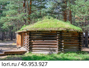 An octagonal wooden Buryat summer yurt built in 1910 in the village of Iney, Russia, with the grass growing on the roof (2024 год). Стоковое фото, фотограф Сергей Фролов / Фотобанк Лори