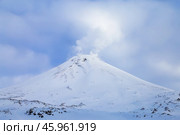 Авачинский вулкан на Камчатке, зимой. Стоковое фото, фотограф Римма Тельнова / Фотобанк Лори