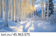 Sun shining through snow covered aspen trees in a winter forest. Стоковое AI-изображение, AI-художник Юрий Поздников / Фотобанк Лори