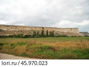 Вид на Белую скалу (Ак-Кая)  с расстояния (2011 год). Редакционное фото, фотограф Snezka / Фотобанк Лори