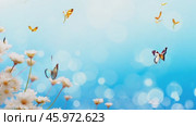Beautiful bright summer spring background for bloggers or advertising with flying butterflies and fragrant flowers. Стоковое AI-видео, аниматор ALLA YURTAYEVA / Фотобанк Лори