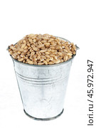 Full bucket of pearl barley grains on a white background. Стоковое фото, фотограф Александр Собко / Фотобанк Лори
