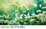 Beautiful bright summer spring background for bloggers or advertising with flying butterflies and fragrant flowers. Стоковое AI-видео, аниматор ALLA YURTAYEVA / Фотобанк Лори