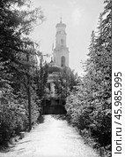 Аллея в Харитоновском саду, ведущая к колокольне каменного храма Вознесения Господня (строилась в 1792-1818 году), 1910 год. Екатеринбург. Стоковое фото, фотограф Сергей Елизарьев / Фотобанк Лори