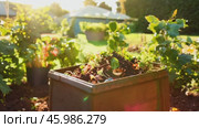 Organic waste, including leaves and grass clippings, is added into a compost pit, promoting eco-friendly recycling and composting of biodegradable materials. Стоковое AI-видео, аниматор ALLA YURTAYEVA / Фотобанк Лори