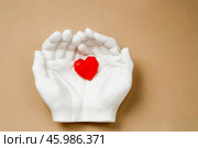 Stylish banner. In his hands, a red heart on a beige background is made of plaster. World Health, Love and Insurance Day. World Heart, Health and Organ Donor Day. Стоковое фото, фотограф Photojuli / Фотобанк Лори