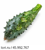 Fresh green horned melon lying on white background. Стоковое AI-изображение, AI-художник Иван Рябоконь / Фотобанк Лори