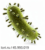 Rod shaped bacteria showing pilli and fimbriae, a 3d render. Стоковое AI-изображение, AI-художник Иван Рябоконь / Фотобанк Лори