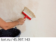 A hand with a wide brush and a bucket next to the wall being repaired during the application of primer or glue before gluing wallpaper. Wall treatment with a primer. Стоковое фото, фотограф Photojuli / Фотобанк Лори