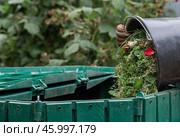 A woman works in the backyard and collects grass after working the lawn mower in a compost bin. The concept of housework, gardening and country life. Стоковое фото, фотограф Photojuli / Фотобанк Лори
