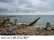 View of wooden breakwaters and concrete tetrapods on the shore of the Baltic Sea on a cloudy summer day, Svetlogorsk, Kaliningrad region, Russia. Стоковое фото, фотограф Ula Ulachka / Фотобанк Лори