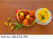 Easter composition with spring bouquet of yellow dandelion flowers on lace handmade napkin and painted red Easter eggs on chicken-shaped plate on wooden table. Flat lay, copy space, mock up, top view. Стоковое фото, фотограф Виктория Катьянова / Фотобанк Лори