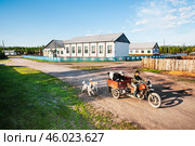 Сельская местность, дома, улица, школа, собаки... Поселок Сордоннох , или Орто-Балаган в Якутии ( Республика САХА, Оймяконский район ) (2010 год). Редакционное фото, фотограф Павел Просянов / Фотобанк Лори
